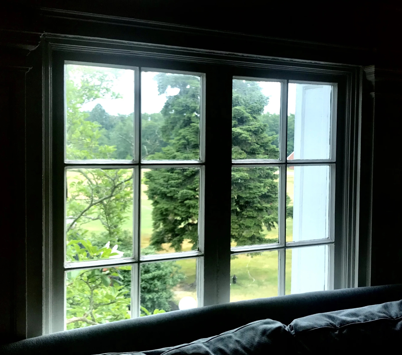 Photograph of a dark window, which overlooks a very green and very rainy lawn. Between the two windows, a tall tree is obscured.